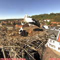 14_45-nest.jpg