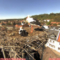 14_50-nest.jpg