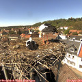 14_55-nest.jpg