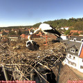 15_00-nest.jpg