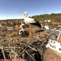15_05-nest.jpg