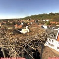 15_20-nest.jpg