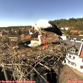 15_30-nest.jpg