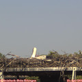 16_05-mast.jpg