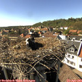 16_20-nest.jpg