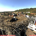 16_30-nest.jpg
