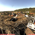 16_50-nest.jpg