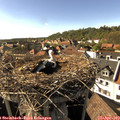 16_55-nest.jpg