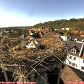 17_05-nest.jpg