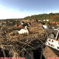 17_10-nest.jpg