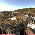 17_20-nest.jpg