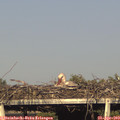 18_05-mast.jpg