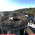 18_35-nest.jpg