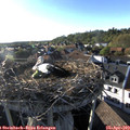 18_40-nest.jpg
