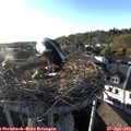 18_55-nest.jpg