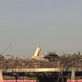 19_05-mast.jpg