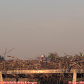 20_00-mast.jpg