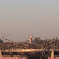 20_05-mast.jpg