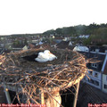 06_20-nest.jpg