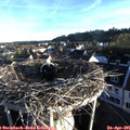 07_00-nest.jpg
