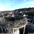 07_05-nest.jpg