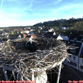 07_10-nest.jpg