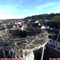07_15-nest.jpg