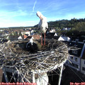 07_35-nest.jpg