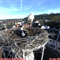 07_40-nest.jpg