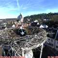 07_45-nest.jpg