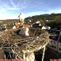 07_55-nest.jpg