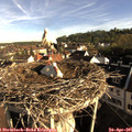 08_00-nest.jpg