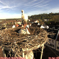 08_10-nest.jpg