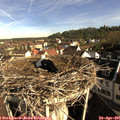 08_40-nest.jpg