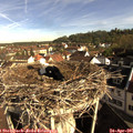08_45-nest.jpg