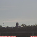 08_55-mast.jpg