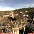 08_55-nest.jpg