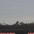 09_00-mast.jpg