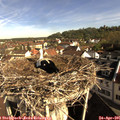 09_00-nest.jpg