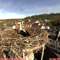09_05-nest.jpg