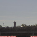 09_10-mast.jpg