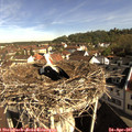 09_10-nest.jpg