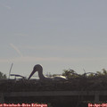 09_15-mast.jpg
