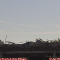 09_25-mast.jpg