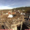 09_25-nest.jpg