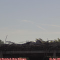 09_30-mast.jpg