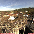 09_30-nest.jpg
