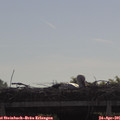 09_35-mast.jpg