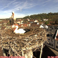 09_45-nest.jpg