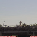 10_10-mast.jpg